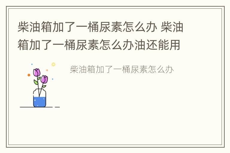 柴油箱加了一桶尿素怎么办 柴油箱加了一桶尿素怎么办油还能用吗