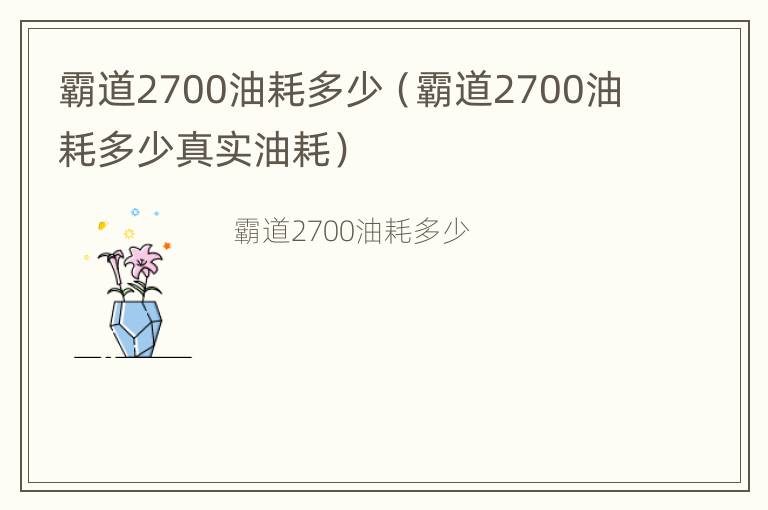 霸道2700油耗多少（霸道2700油耗多少真实油耗）