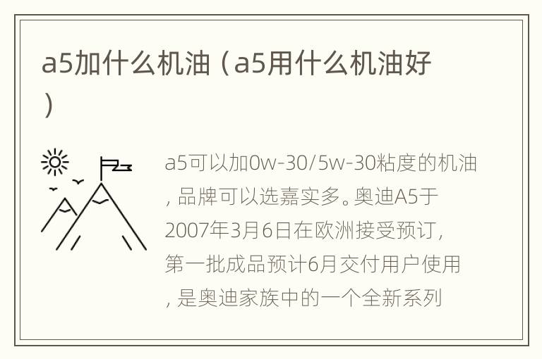 a5加什么机油（a5用什么机油好）