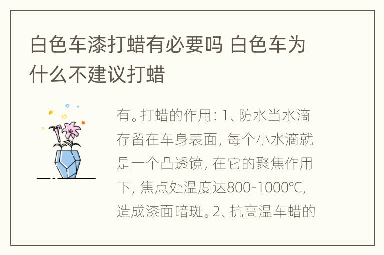 白色车漆打蜡有必要吗 白色车为什么不建议打蜡