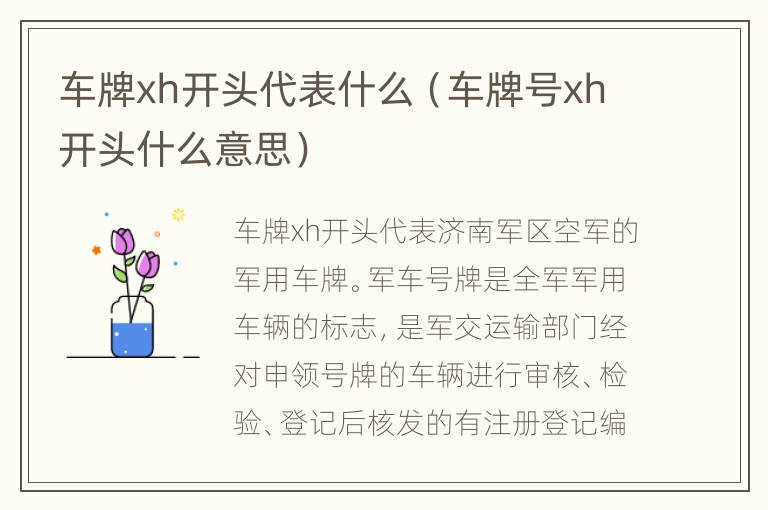 车牌xh开头代表什么（车牌号xh开头什么意思）