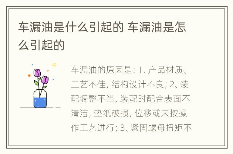 车漏油是什么引起的 车漏油是怎么引起的