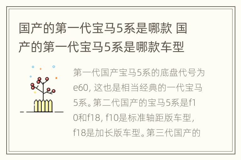 国产的第一代宝马5系是哪款 国产的第一代宝马5系是哪款车型