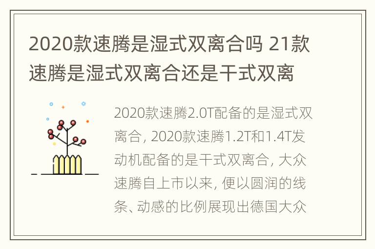 2020款速腾是湿式双离合吗 21款速腾是湿式双离合还是干式双离合