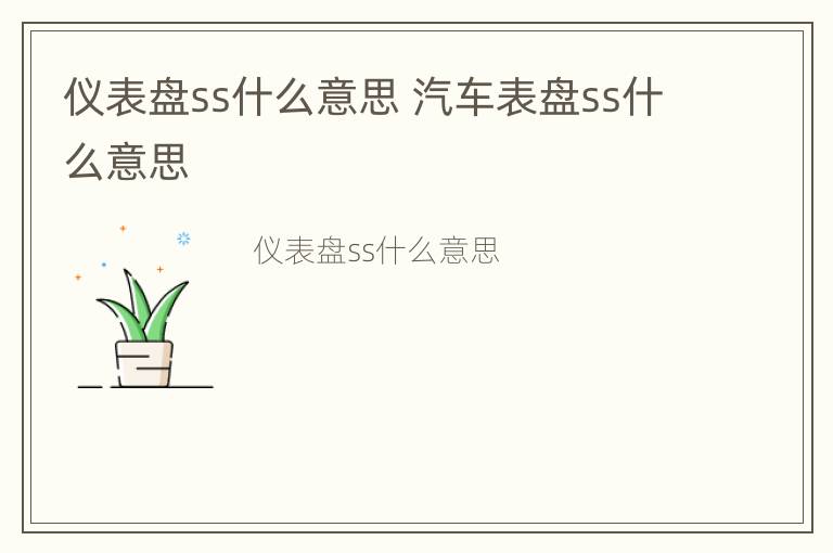 仪表盘ss什么意思 汽车表盘ss什么意思