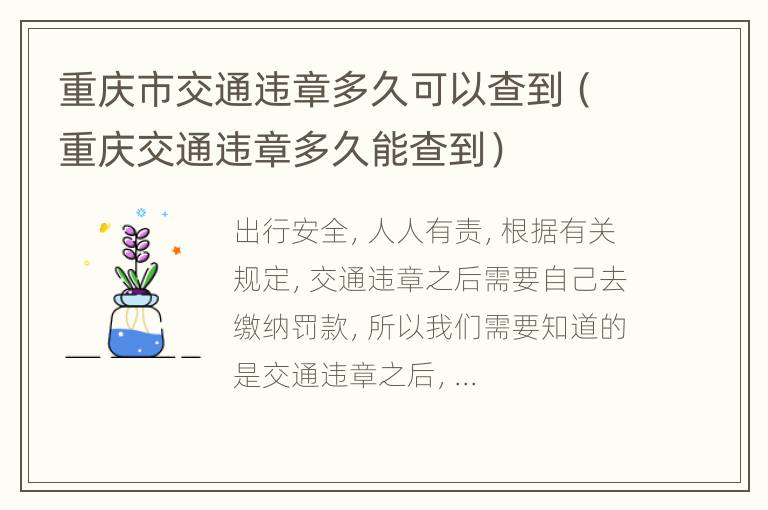 重庆市交通违章多久可以查到（重庆交通违章多久能查到）