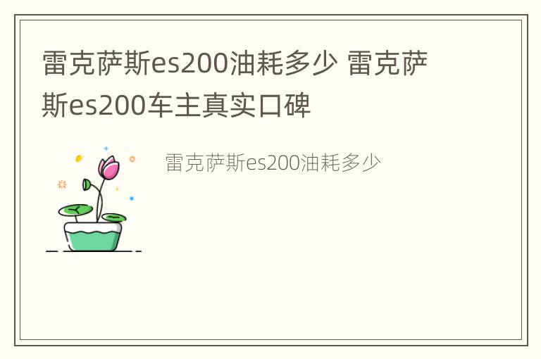 雷克萨斯es200油耗多少 雷克萨斯es200车主真实口碑