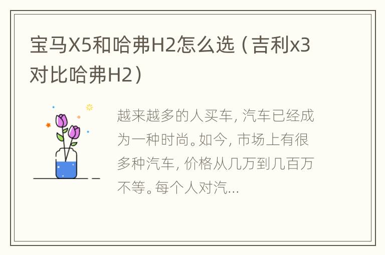 宝马X5和哈弗H2怎么选（吉利x3对比哈弗H2）