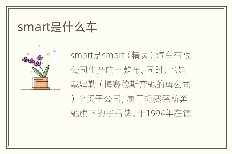 smart是什么车