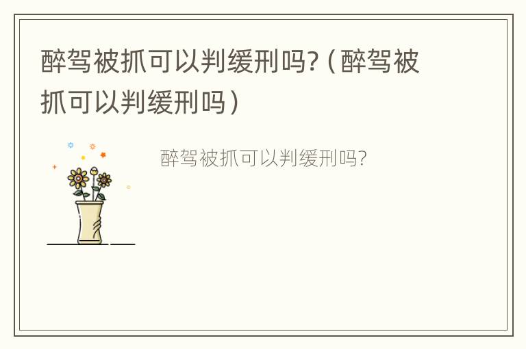 醉驾被抓可以判缓刑吗?（醉驾被抓可以判缓刑吗）