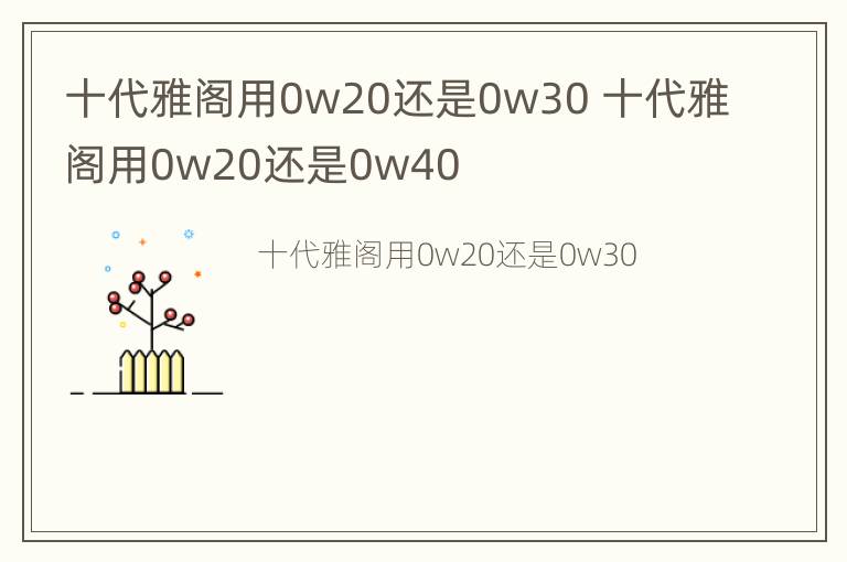 十代雅阁用0w20还是0w30 十代雅阁用0w20还是0w40