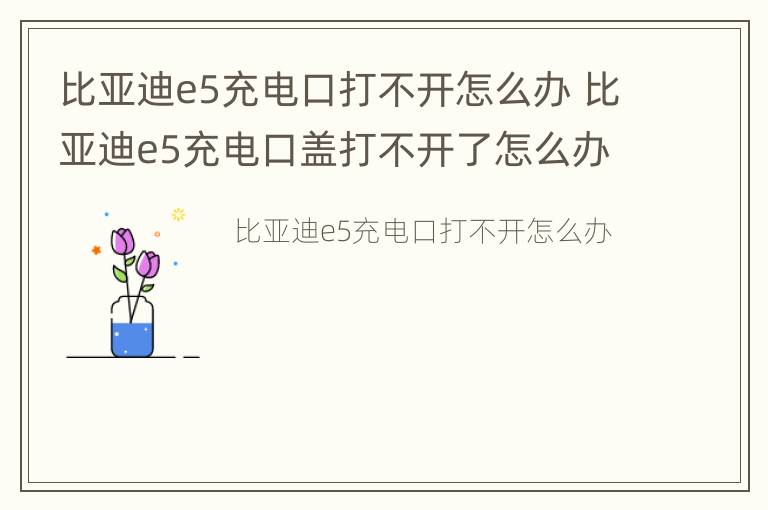 比亚迪e5充电口打不开怎么办 比亚迪e5充电口盖打不开了怎么办