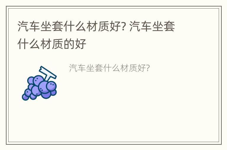 汽车坐套什么材质好? 汽车坐套什么材质的好