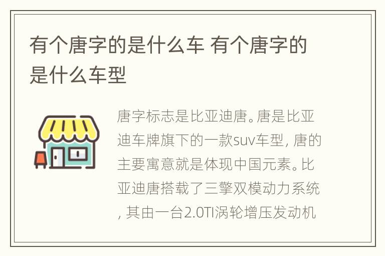 有个唐字的是什么车 有个唐字的是什么车型