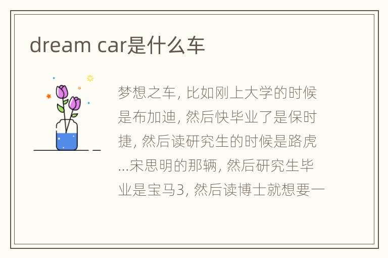 dream car是什么车