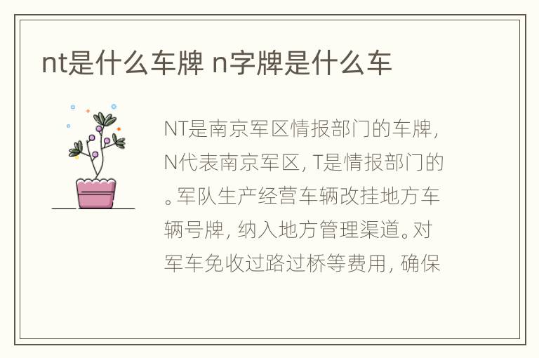 nt是什么车牌 n字牌是什么车