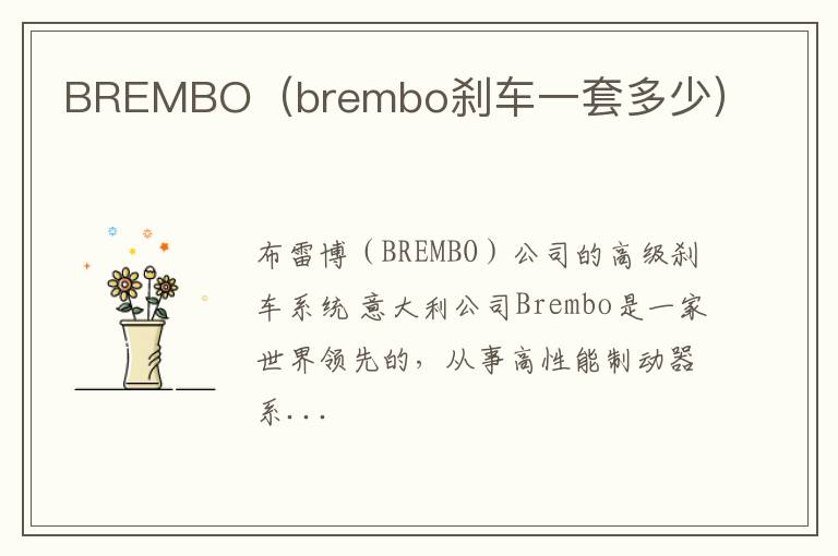 BREMBO（brembo刹车一套多少）