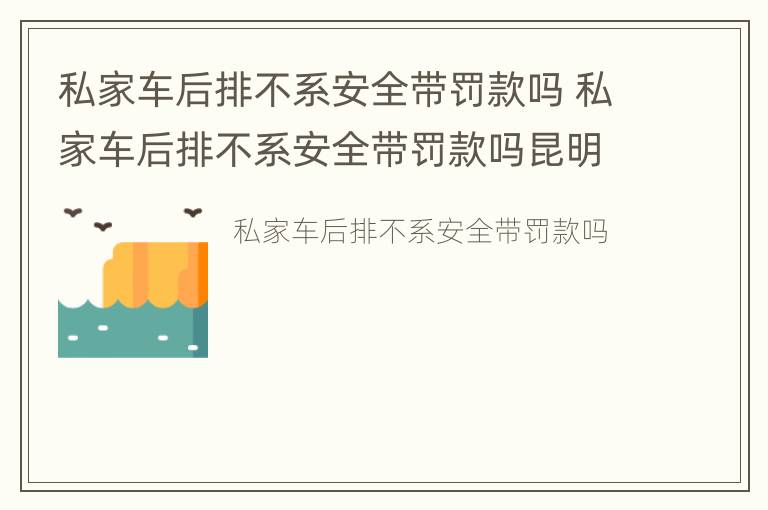 私家车后排不系安全带罚款吗 私家车后排不系安全带罚款吗昆明