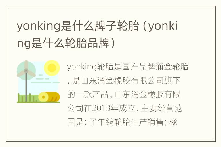 yonking是什么牌子轮胎（yonking是什么轮胎品牌）