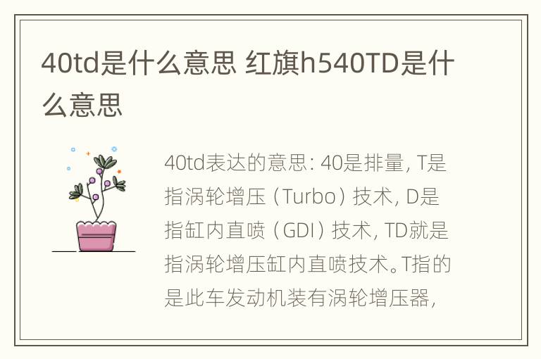 40td是什么意思 红旗h540TD是什么意思