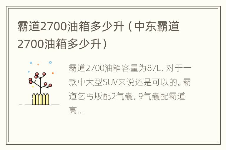 霸道2700油箱多少升（中东霸道2700油箱多少升）