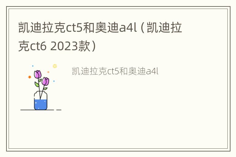 凯迪拉克ct5和奥迪a4l（凯迪拉克ct6 2023款）