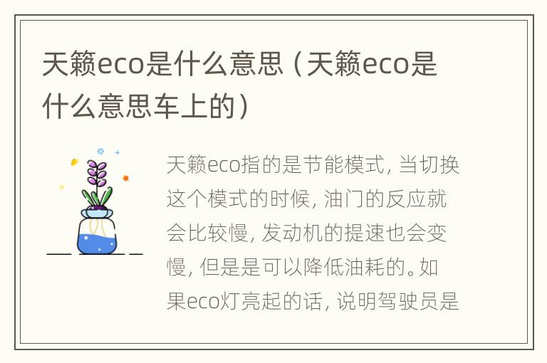 天籁eco是什么意思（天籁eco是什么意思车上的）