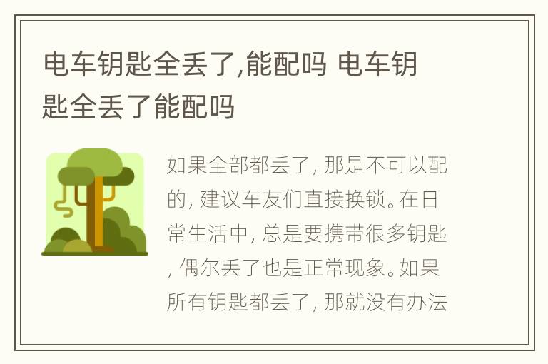 电车钥匙全丢了,能配吗 电车钥匙全丢了能配吗