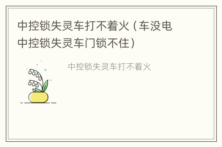 中控锁失灵车打不着火（车没电中控锁失灵车门锁不住）