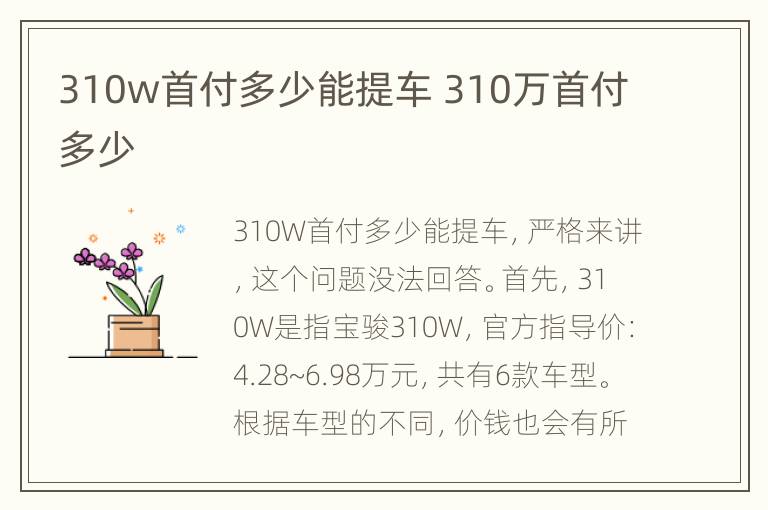 310w首付多少能提车 310万首付多少