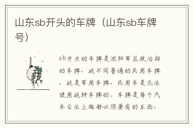 山东sb开头的车牌（山东sb车牌号）