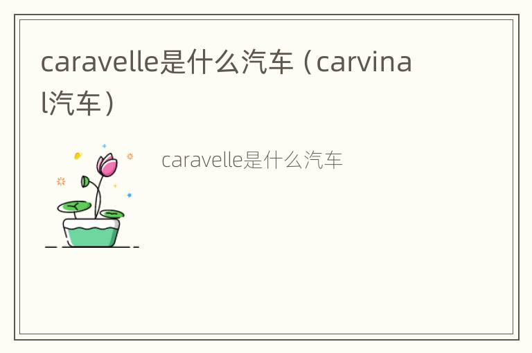 caravelle是什么汽车（carvinal汽车）