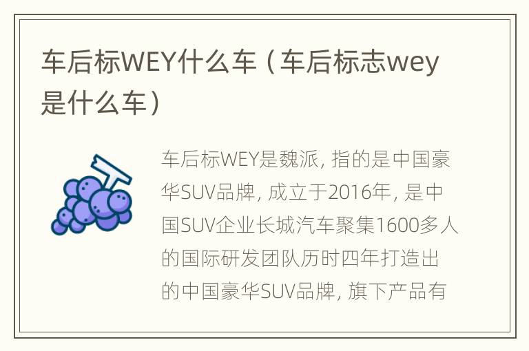 车后标WEY什么车（车后标志wey是什么车）