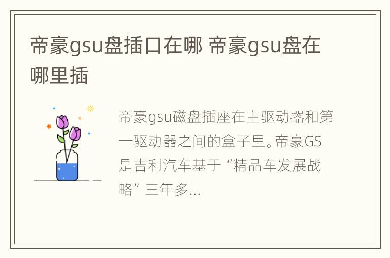 帝豪gsu盘插口在哪 帝豪gsu盘在哪里插