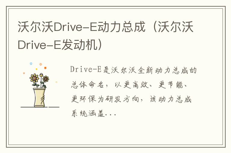 沃尔沃Drive-E动力总成（沃尔沃Drive-E发动机）