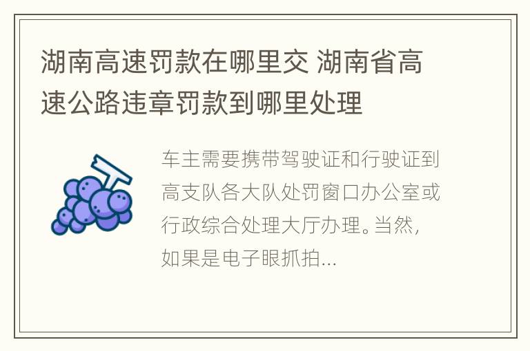 湖南高速罚款在哪里交 湖南省高速公路违章罚款到哪里处理