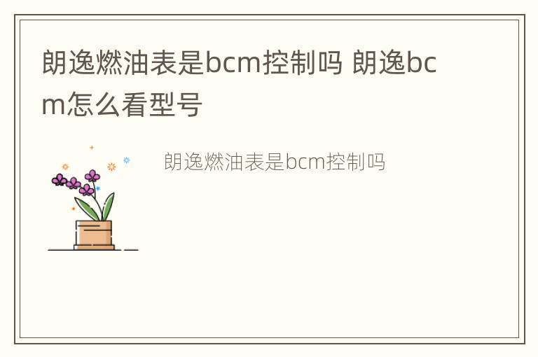 朗逸燃油表是bcm控制吗 朗逸bcm怎么看型号