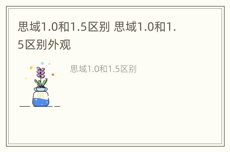 思域1.0和1.5区别 思域1.0和1.5区别外观