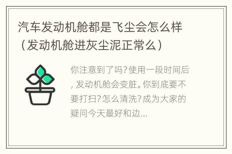 汽车发动机舱都是飞尘会怎么样（发动机舱进灰尘泥正常么）