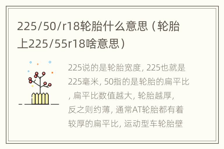 225/50/r18轮胎什么意思（轮胎上225/55r18啥意思）