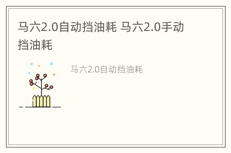 马六2.0自动挡油耗 马六2.0手动挡油耗