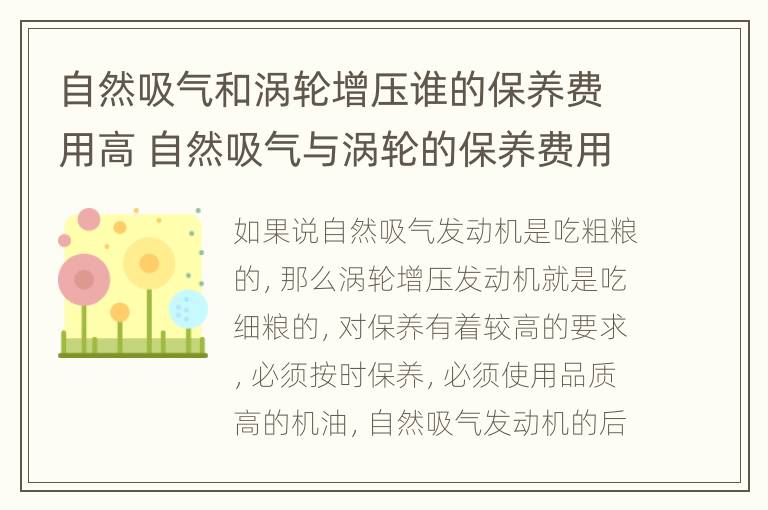 自然吸气和涡轮增压谁的保养费用高 自然吸气与涡轮的保养费用