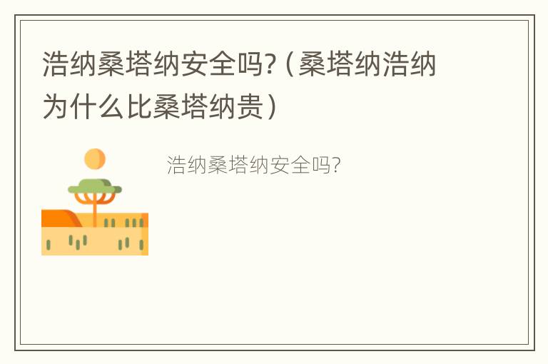 浩纳桑塔纳安全吗?（桑塔纳浩纳为什么比桑塔纳贵）