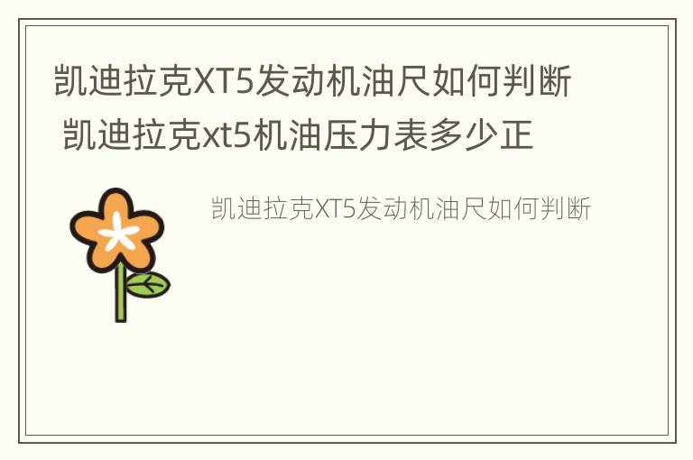 凯迪拉克XT5发动机油尺如何判断 凯迪拉克xt5机油压力表多少正常