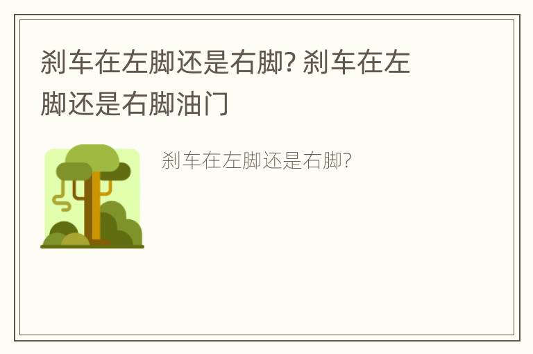 刹车在左脚还是右脚? 刹车在左脚还是右脚油门