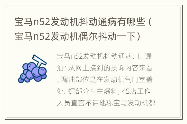 宝马n52发动机抖动通病有哪些（宝马n52发动机偶尔抖动一下）