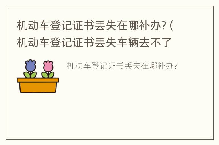 机动车登记证书丢失在哪补办?（机动车登记证书丢失车辆去不了能补办吗）