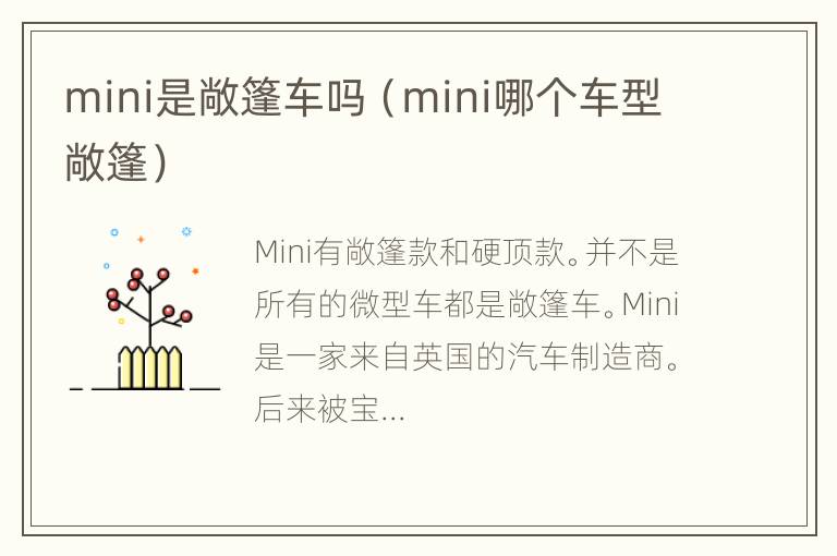 mini是敞篷车吗（mini哪个车型敞篷）