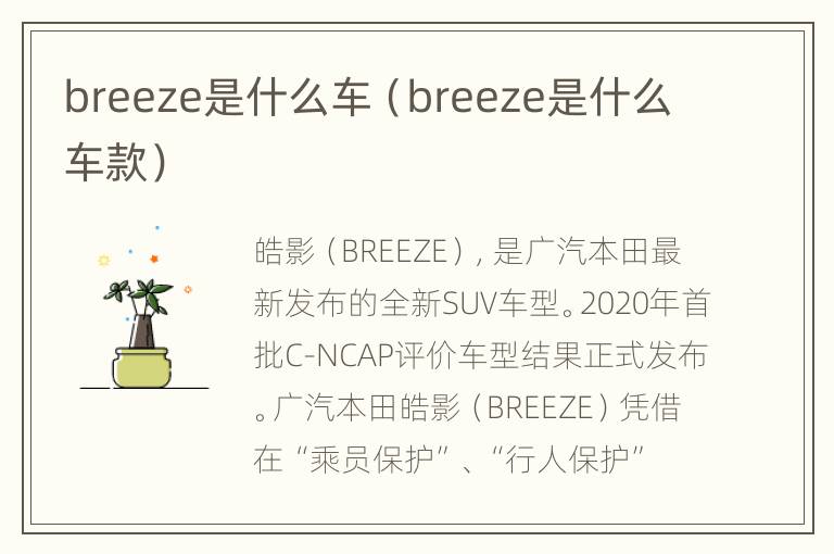 breeze是什么车（breeze是什么车款）