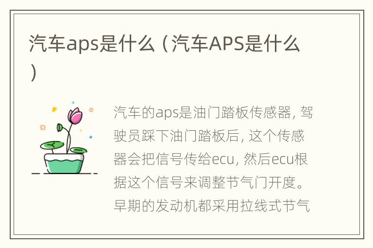 汽车aps是什么（汽车APS是什么）